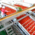 Machine de fabrication de mise en conserve de sauce tomate commerciale